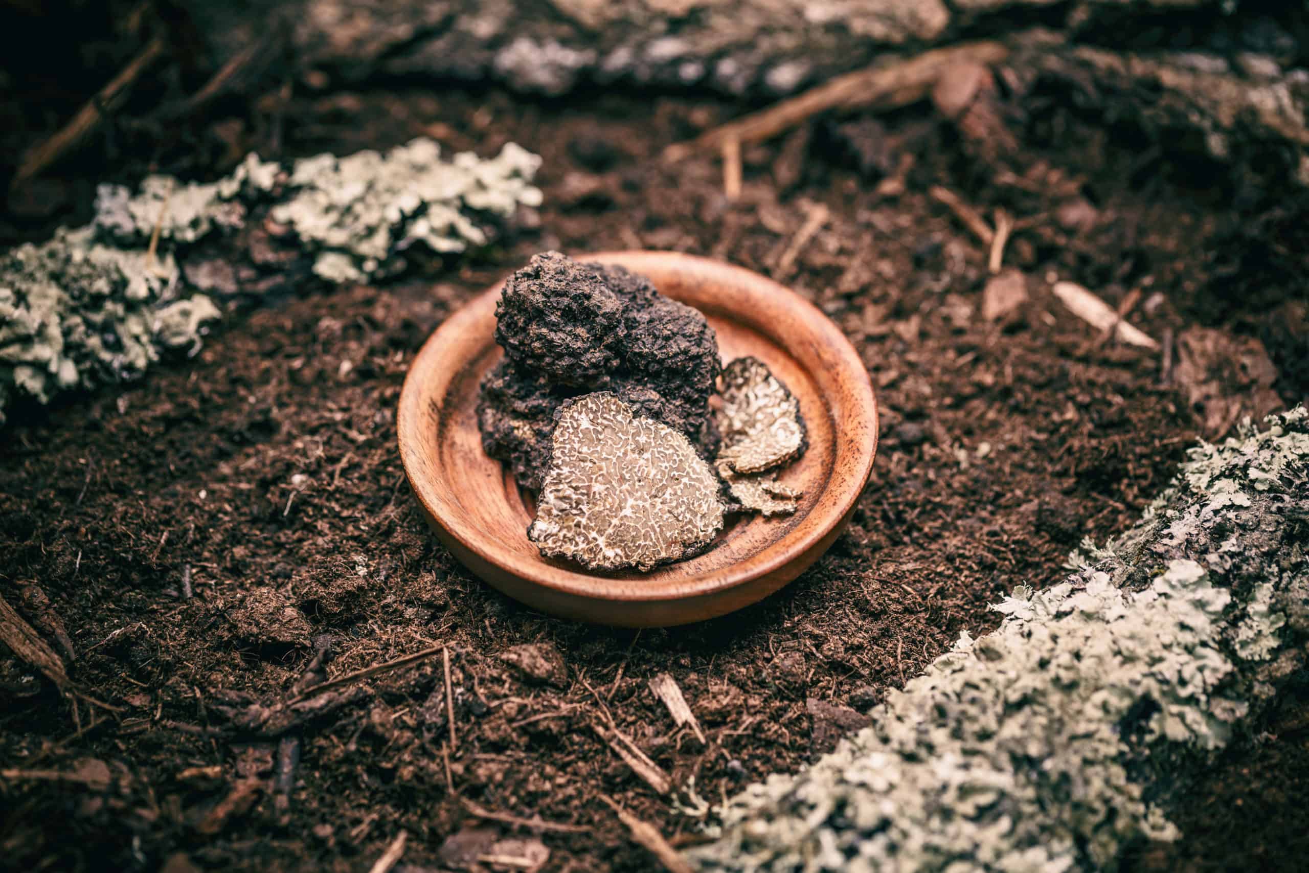 What is Black Truffle Salt, Where to Buy Black, Truffle Salt Near Me, Uses of Black Truffle Salt, Black Truffle Salt Uses, Benefits of Black Truffle Salt